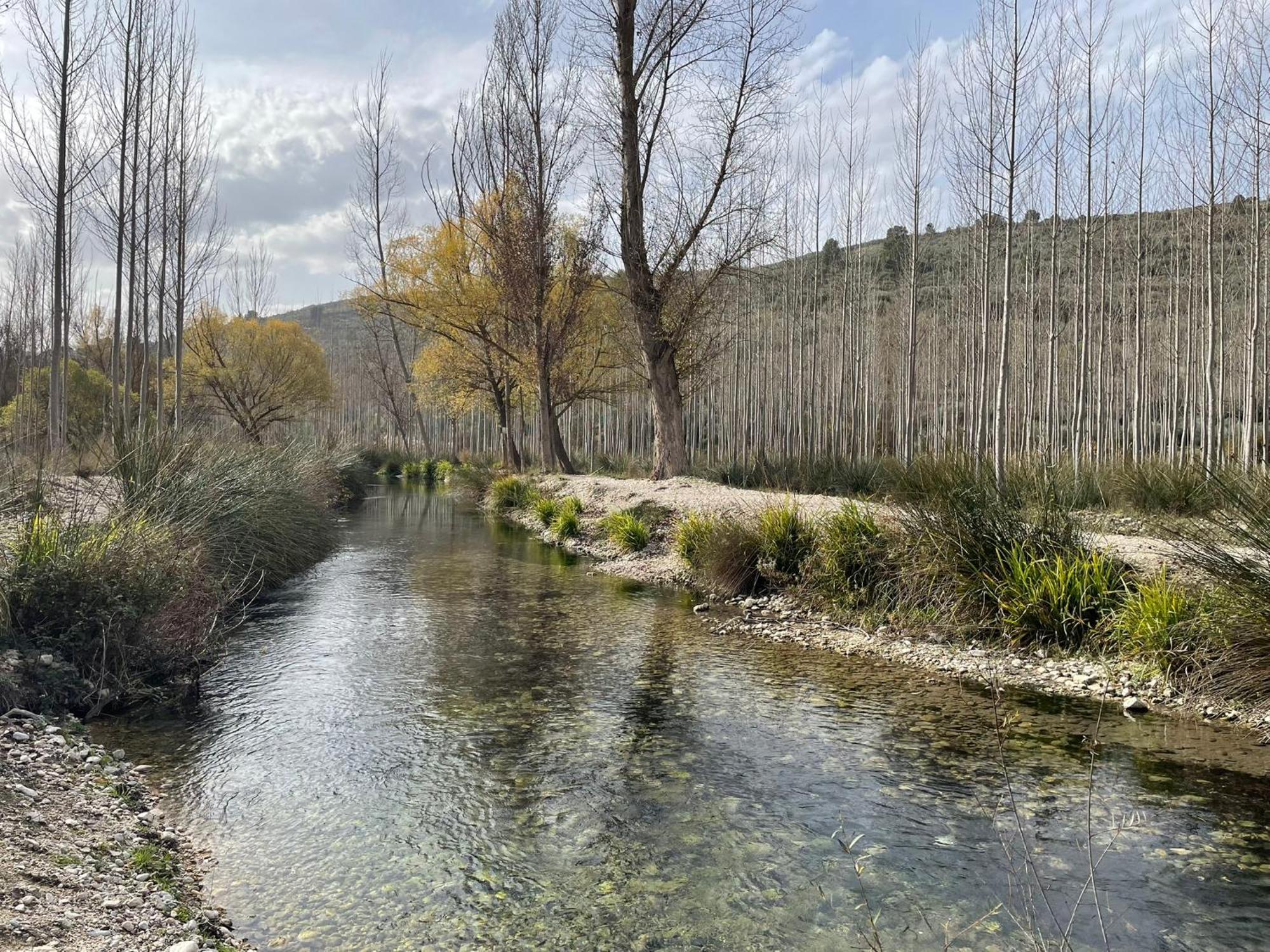 La Rosita Rural Holiday home Hinojares