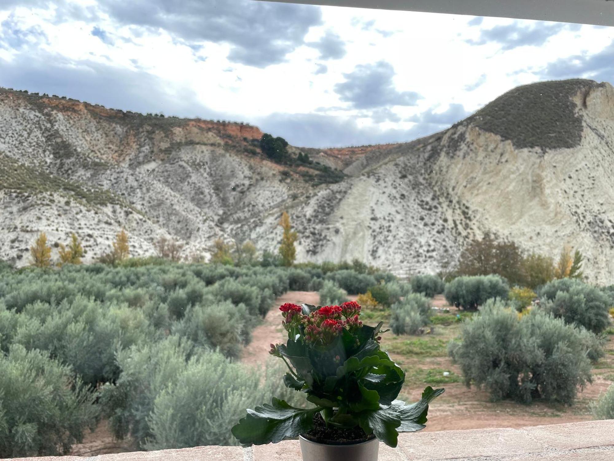 Holiday home La Rosita Rural *